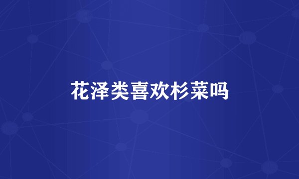 花泽类喜欢杉菜吗