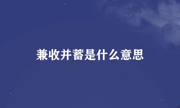 兼收并蓄是什么意思