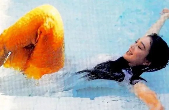 钟丽缇演过什么电影