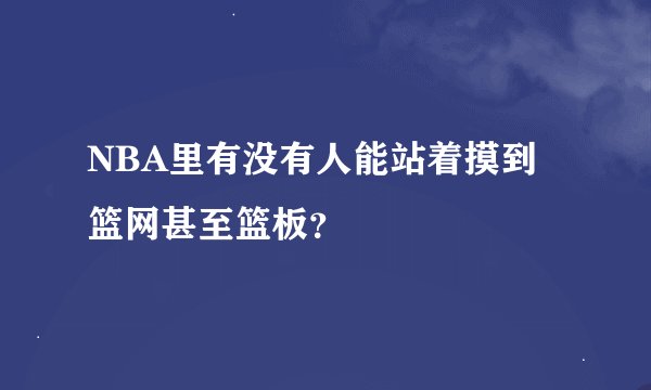 NBA里有没有人能站着摸到篮网甚至篮板？