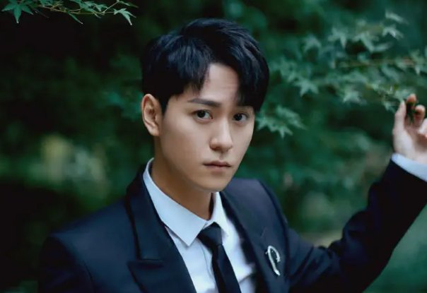 新飞狐外传演员表介绍2022