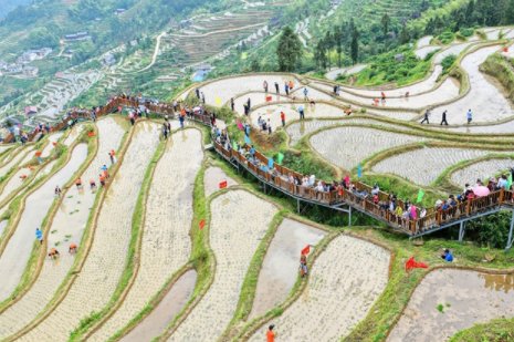 二十四节气中芒种又叫忙种对吗