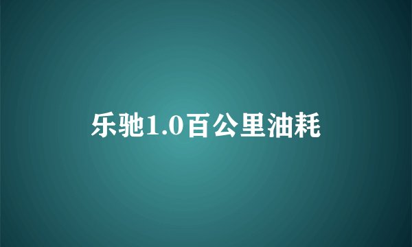 乐驰1.0百公里油耗