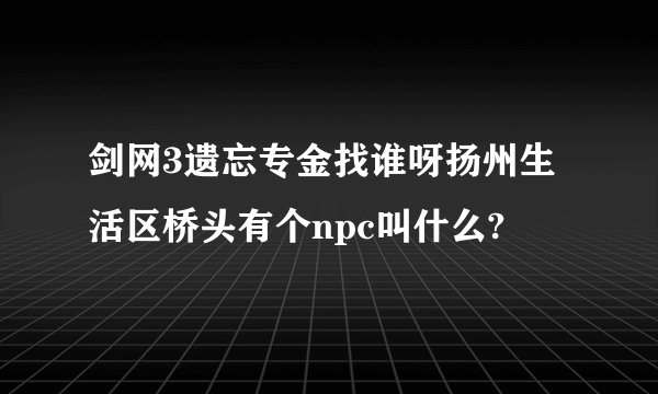 剑网3遗忘专金找谁呀扬州生活区桥头有个npc叫什么?