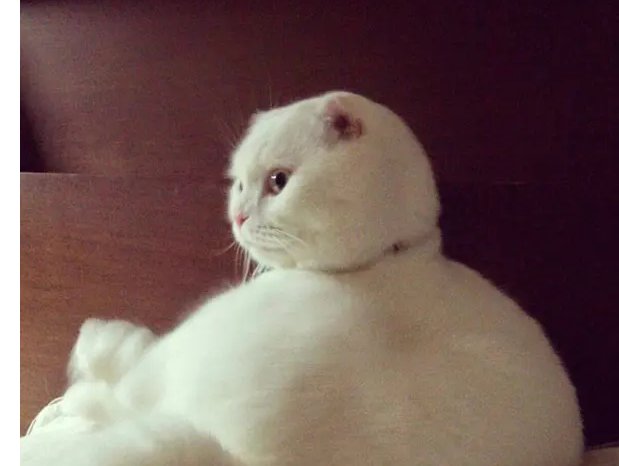 一年级abab式词语大全