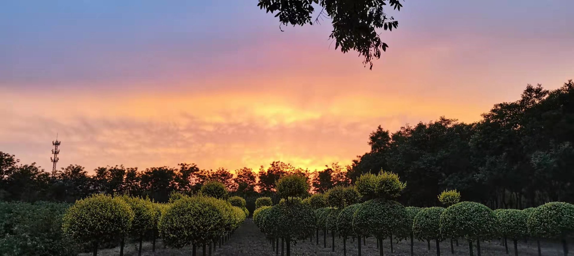 山西农业大学信息学院的环境和住宿条件如何？