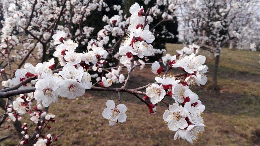 你在二月遇到过哪些温暖的瞬间？