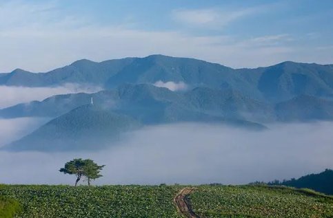 2024年的冬奥会在哪里举行