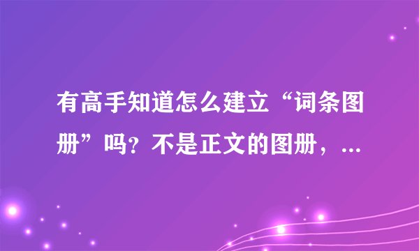 有高手知道怎么建立“词条图册”吗？不是正文的图册，急！ http://baike.baidu.com/view/342