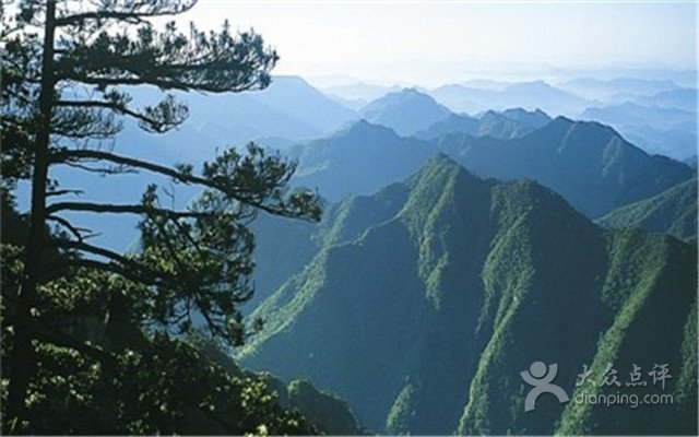 度啦啦旅行网的介绍