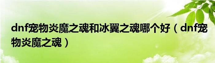 dnf宠物炎魔之魂和冰翼之魂哪个好dnf宠物炎魔之魂