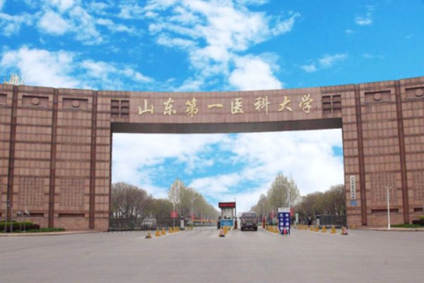 山东医科大学分数线2023