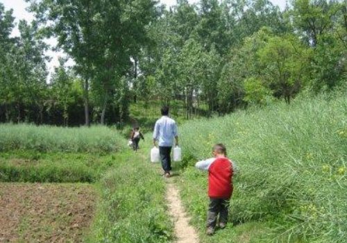 游子回到家乡不少于40字的比喻句要怎么写？