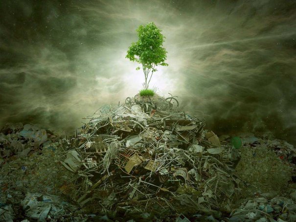 白龙王十大预言