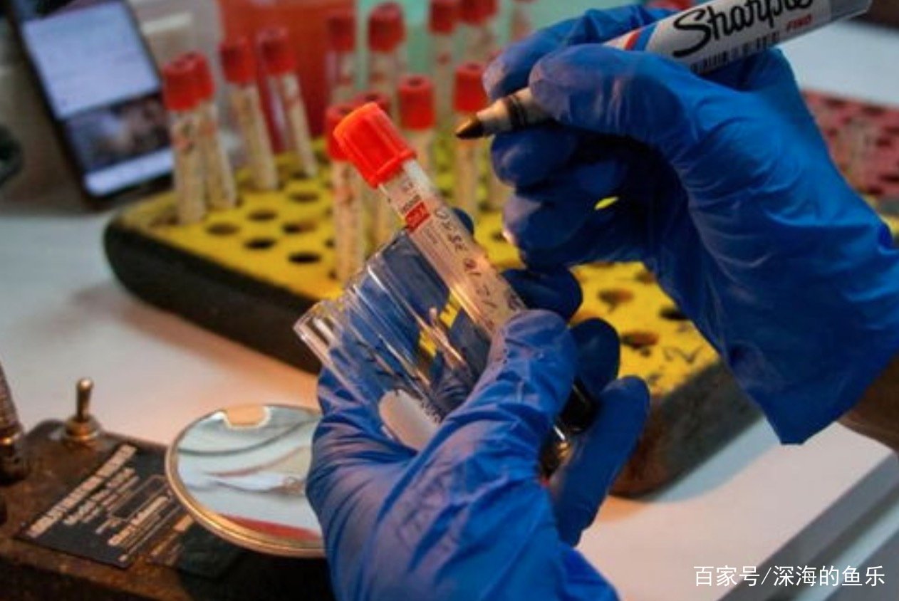 一家三口确诊新冠，另一人为什么没事？