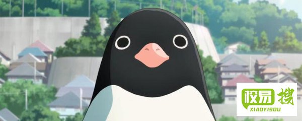 企鹅翅膀的特点和作用