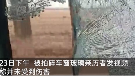 东北虎拍碎车窗亲历者发声说了什么？