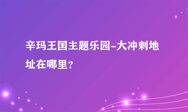 辛玛王国主题乐园-大冲刺地址在哪里？