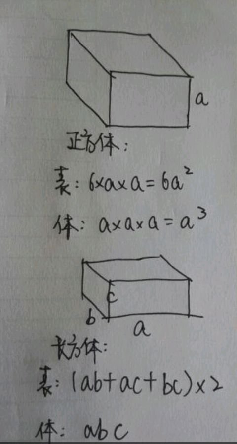 几何体的表面积怎么求？