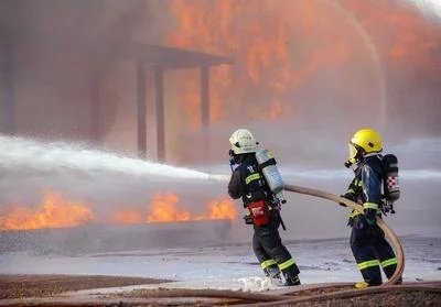 南京一小区保安拦停出警消防车被处罚，案件的始末有何详情？