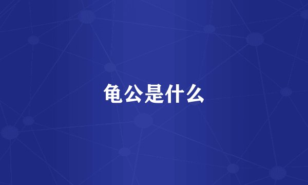 龟公是什么