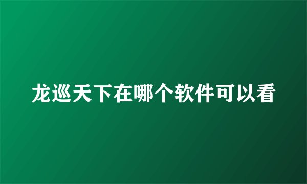 龙巡天下在哪个软件可以看