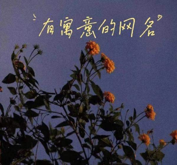 2023年女最旺财的网名？