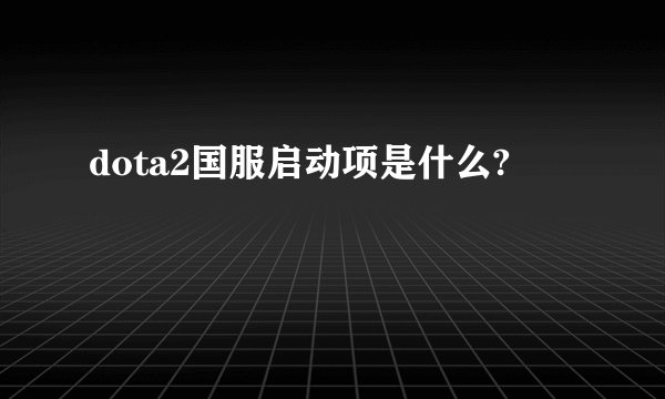 dota2国服启动项是什么?