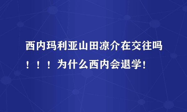 西内玛利亚山田凉介在交往吗！！！为什么西内会退学！