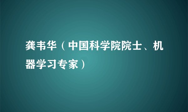 龚韦华（中国科学院院士、机器学习专家）