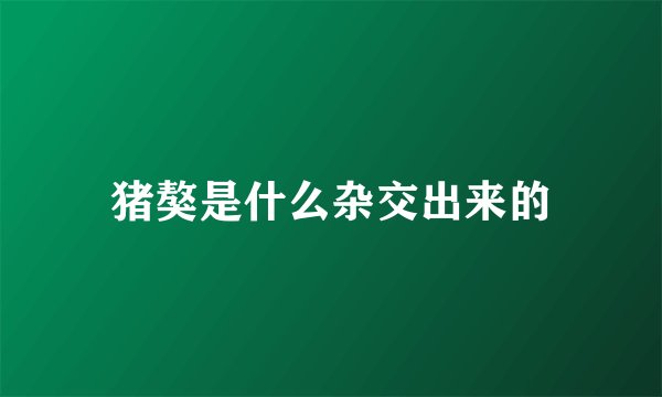 猪獒是什么杂交出来的