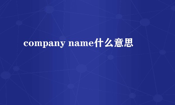 company name什么意思