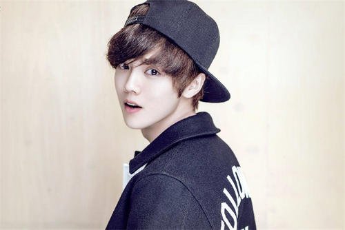 鹿晗粉丝换头像一事上热搜，这究竟发生了什么事？