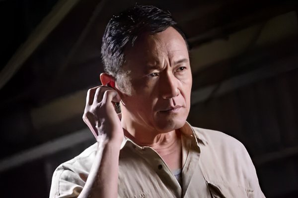 苗侨伟主演的电视剧