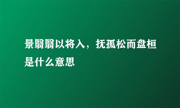 景翳翳以将入，抚孤松而盘桓是什么意思