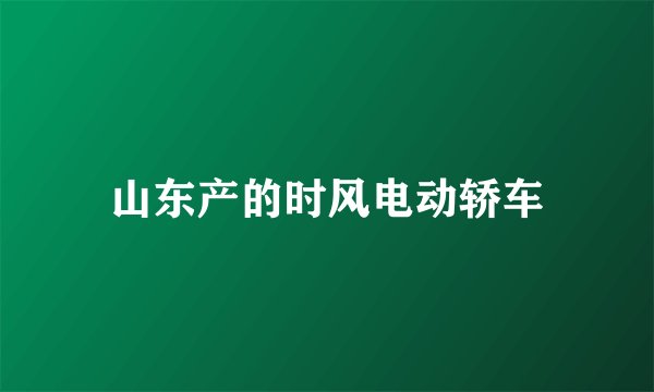 山东产的时风电动轿车