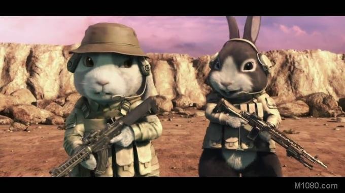 猫屎一号的剧情简介