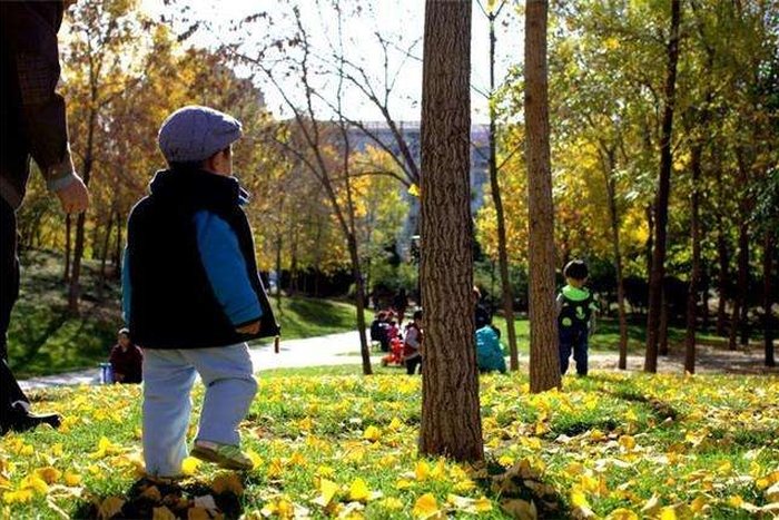 春夏秋冬哪一个季节最代表爱情？