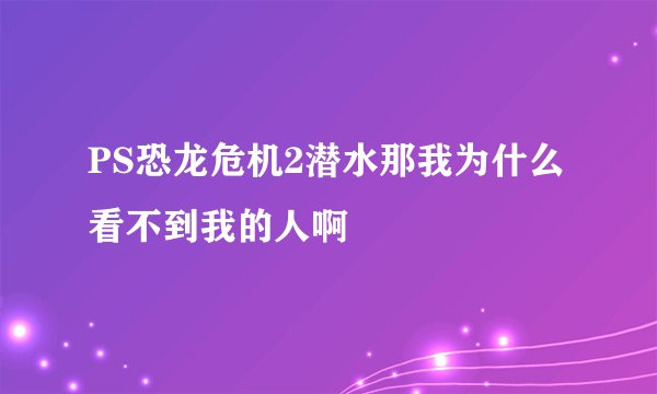 PS恐龙危机2潜水那我为什么看不到我的人啊