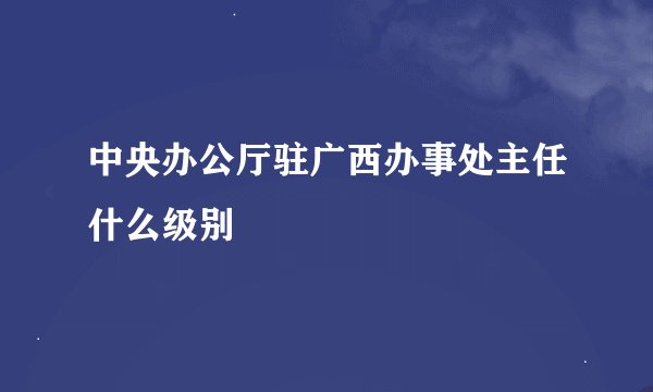 中央办公厅驻广西办事处主任什么级别