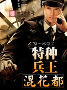 花都特种兵的内容简介