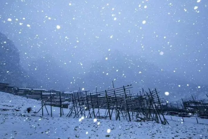 北风像狮子一样狂吼仿写句子二年级