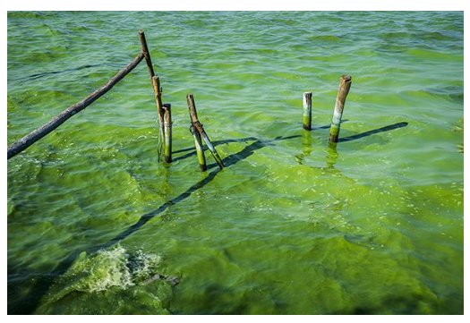很多人都推荐VJ师网这个视频素材专业下载网站，这个网站真的有那么好吗？