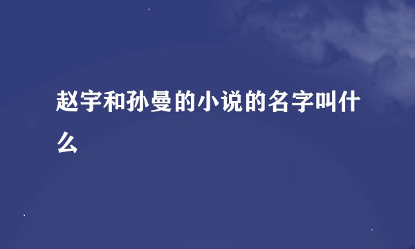 赵宇和孙曼的小说的名字叫什么
