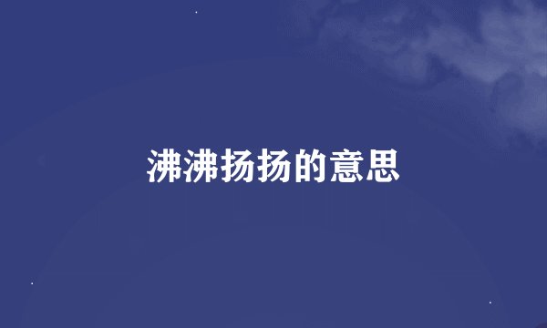沸沸扬扬的意思
