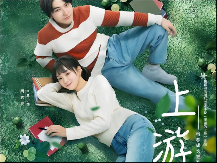 杨童舒主演的连续剧