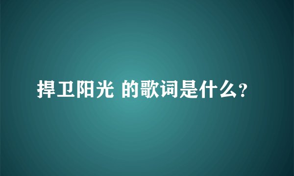 捍卫阳光 的歌词是什么？