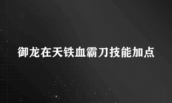 御龙在天铁血霸刀技能加点