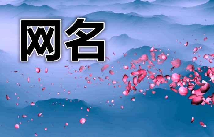 用自己的姓氏做网名