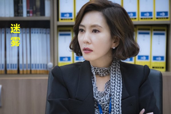 迷雾分集剧情详解